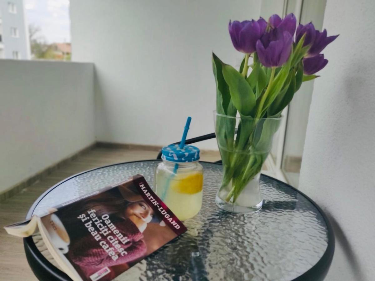 Roxi'S Apartment Sibiu Ngoại thất bức ảnh