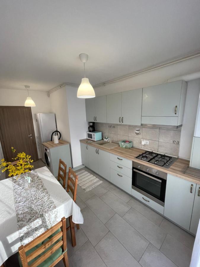 Roxi'S Apartment Sibiu Ngoại thất bức ảnh