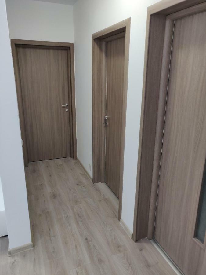 Roxi'S Apartment Sibiu Ngoại thất bức ảnh